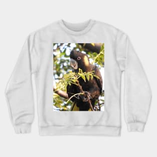 Yellow-tailed Black Cockatoo Crewneck Sweatshirt